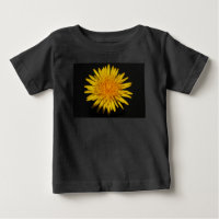Dandelion Flower iccnm
