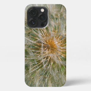 Dandelion Flower iPhone 13 Pro Case