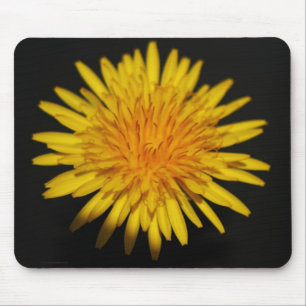 Dandelion Flower mpcna Mouse Pad