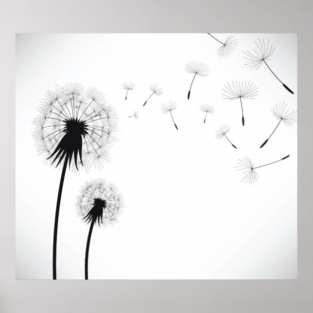  Dandelion Flower Poster (Front)