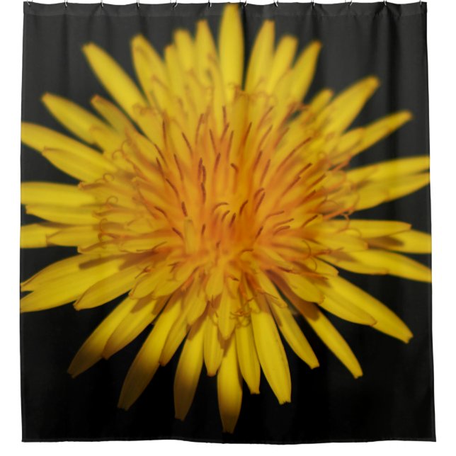 Dandelion Flower sccnm Shower Curtain (Front)