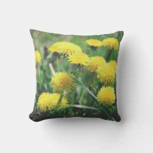 Dandelion Flowers Dandelions Yellow Green Cushion