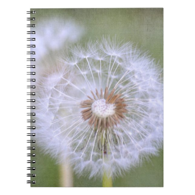 Dandelion Flowers Notebook (Front)