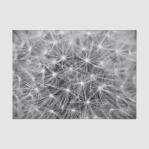 Dandelion Fluff Macro Tissue Paper