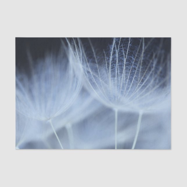 Dandelion Fluff Tissue Paper (Front)