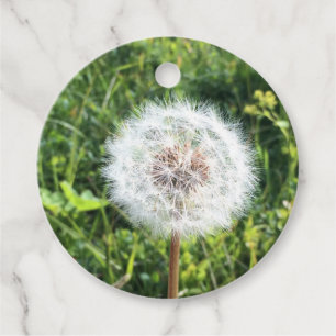 Dandelion gift tag