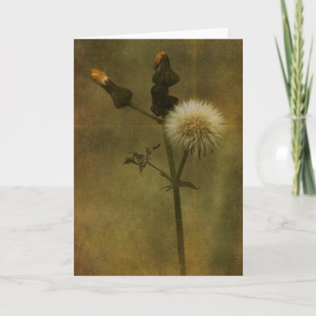 Dandelion Greeting Card (Front)