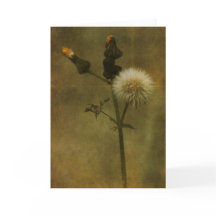 Dandelion Greeting Card