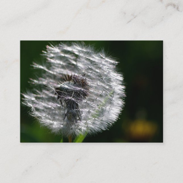 Dandelion Head Seed - Business Card (Front)