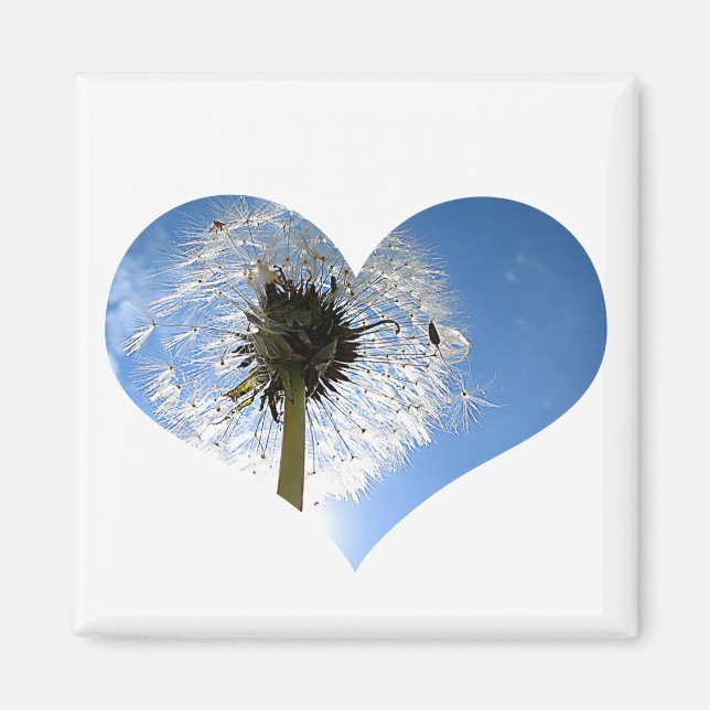 Dandelion Heart Magnet (Front)