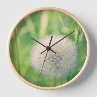 Dandelion in a fairytale  clock