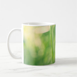 Dandelion in greenery with soft summer light coffee mug