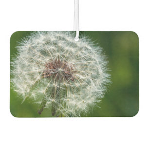 Dandelion In The Light Car Air Freshener