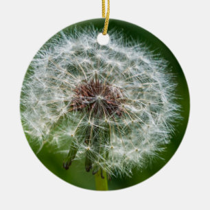 Dandelion In The Light Ceramic Ornament