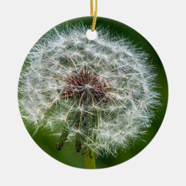 Dandelion In The Light Ceramic Ornament (Front)