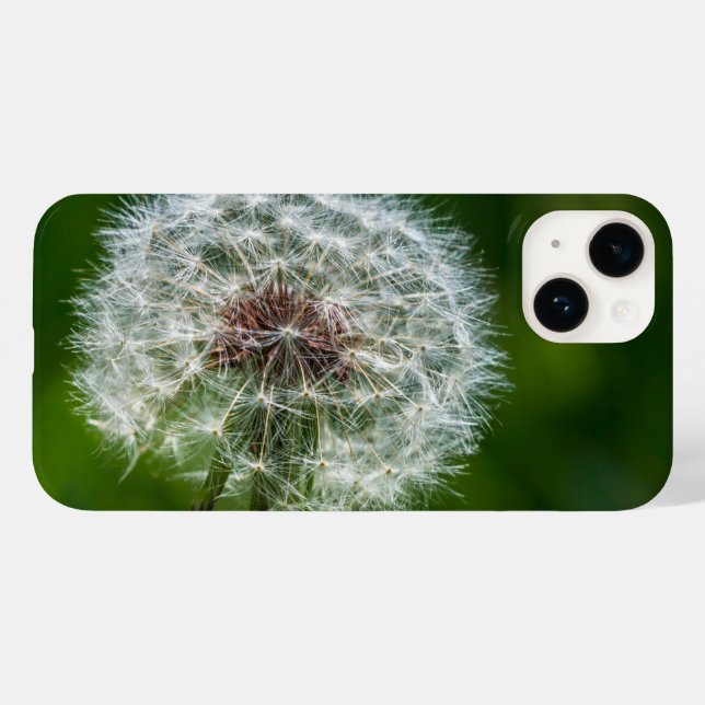 Dandelion In The Light iPhone Case (Back (Horizontal))