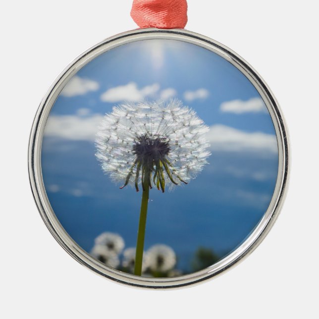 Dandelion In The Light Metal Ornament (Front)