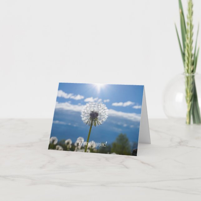 Dandelion In The Light Thank You Card (Front)