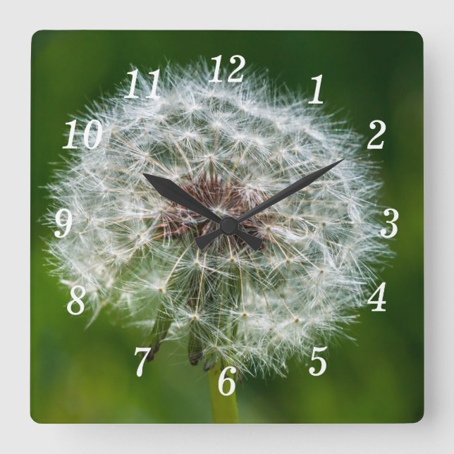 Dandelion In The Light Wall Clock (Front)