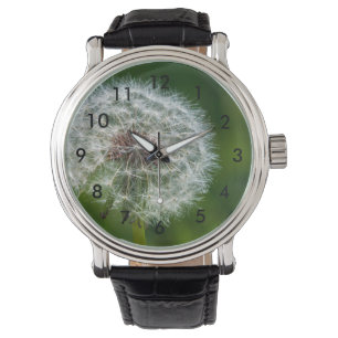 Dandelion In The Light Watch