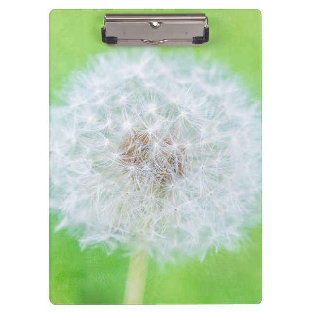 Dandelion - Just Woke Up Beauty Clipboard (Front)