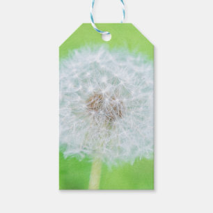Dandelion - Just Woke Up Beauty Gift Tags