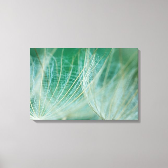 Dandelion macro canvas print (Front)