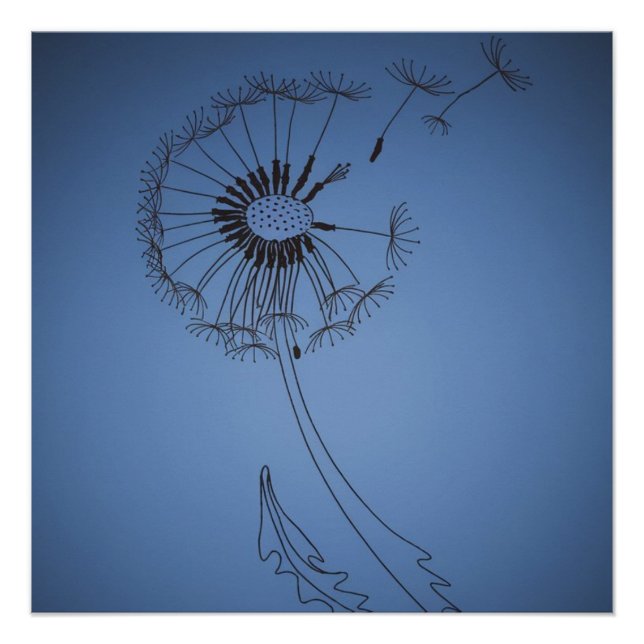 dandelion minimalistic flo poster (Front)