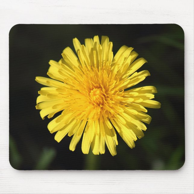 Dandelion Mouse Pad (Front)
