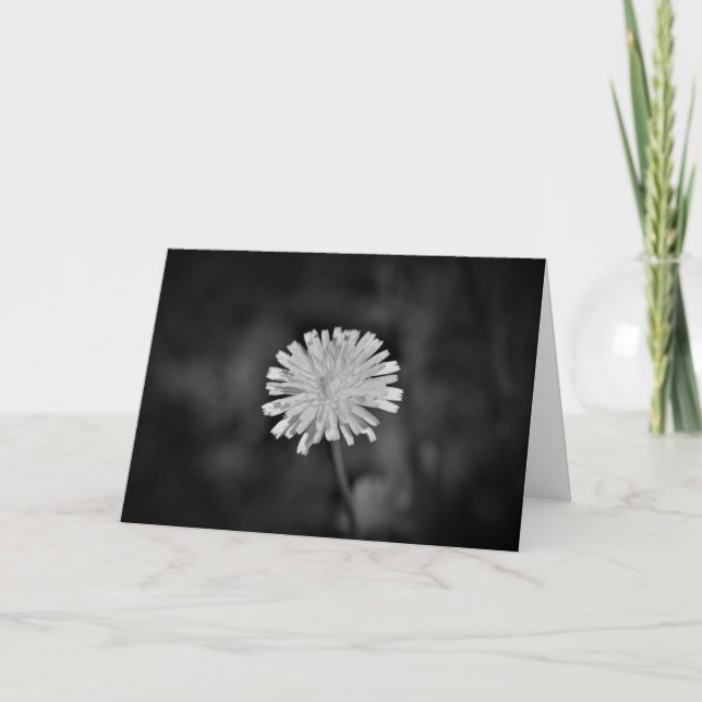 Dandelion / Noir, card (Front)