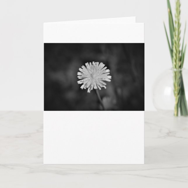 Dandelion / Noir, card (Front)