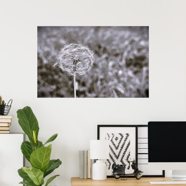 Dandelion - Noir,  Poster (Home Office)