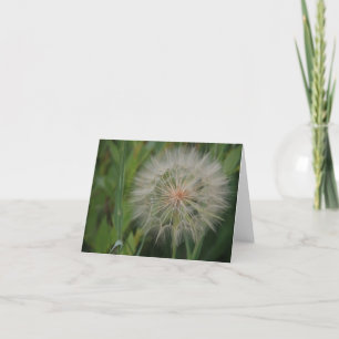 Dandelion notecards