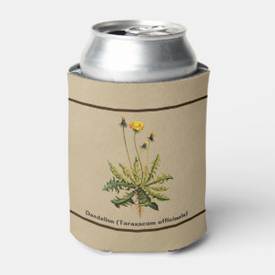 Dandelion On Old Paper Can Cooler