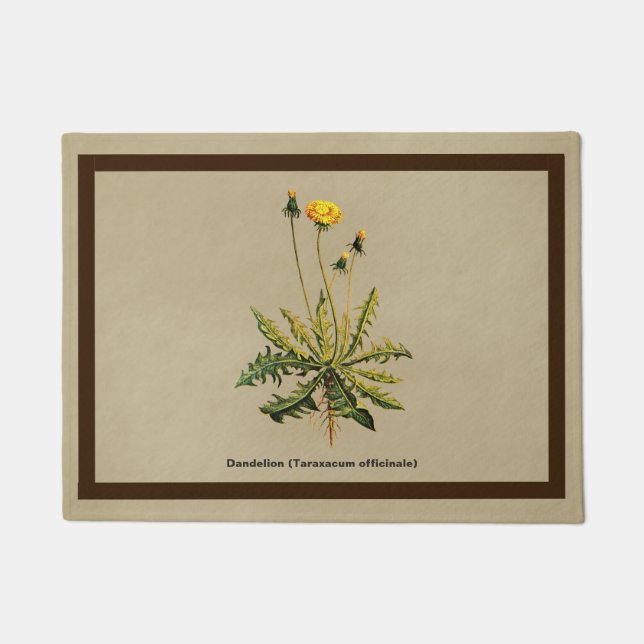 Dandelion On Old Paper Doormat (Front)