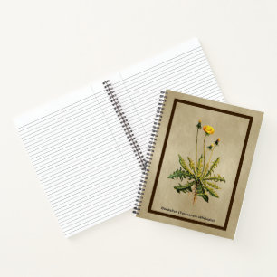 Dandelion On Old Paper Notebook
