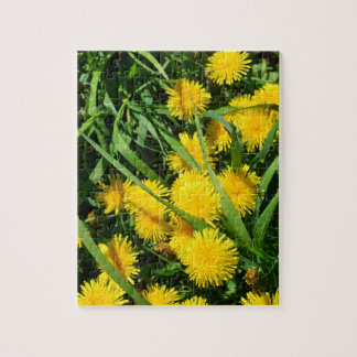 Dandelion Patch  Jigsaw Puzzle