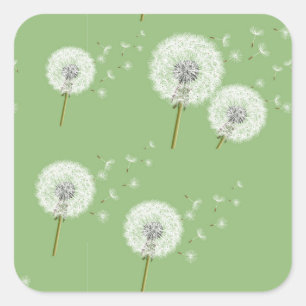 Dandelion Pattern on Green Background Square Sticker