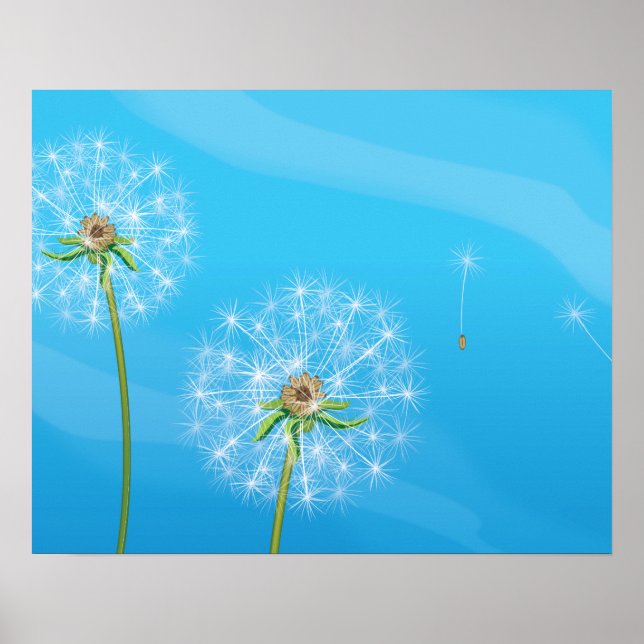 Dandelion Plant Poster (Front)
