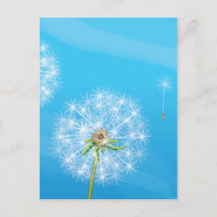 Dandelion Postcard