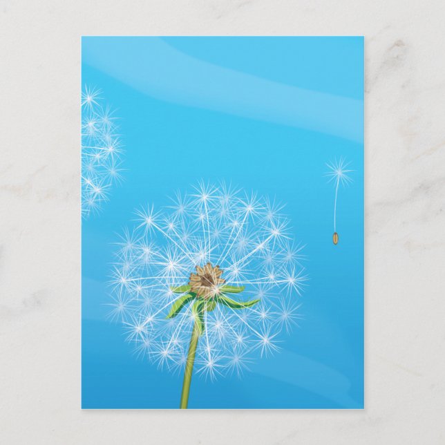 Dandelion Postcard (Front)