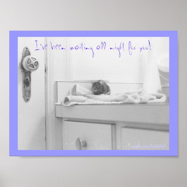 Dandelion Poster (Front)