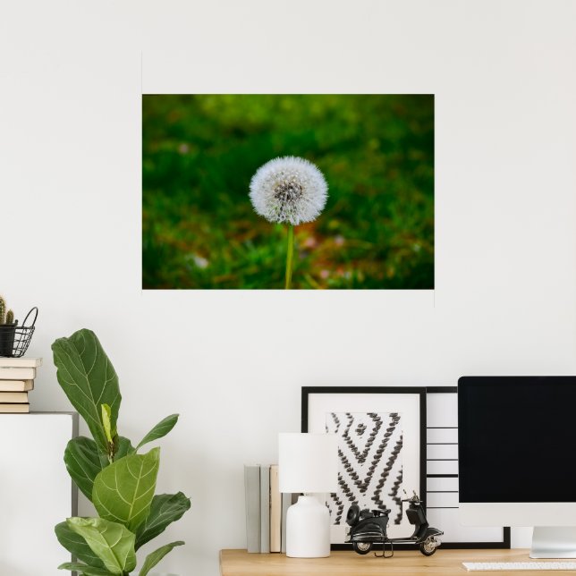 Dandelion, Poster (Home Office)