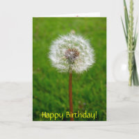 Dandelion Puff, Happy Birthday!