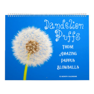 Dandelion Puffs: Those Amazing Pappus Blowballs Calendar