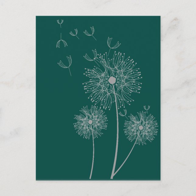 Dandelion pure modern flower art postcard (Front)