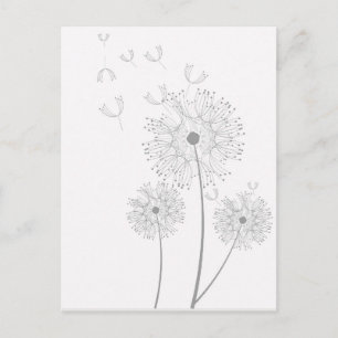 Dandelion pure modern flower art postcard