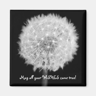 Dandelion Refrigerator magnet