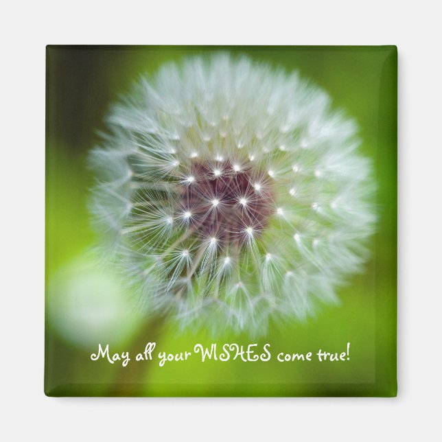 Dandelion Refrigerator Magnet (Front)