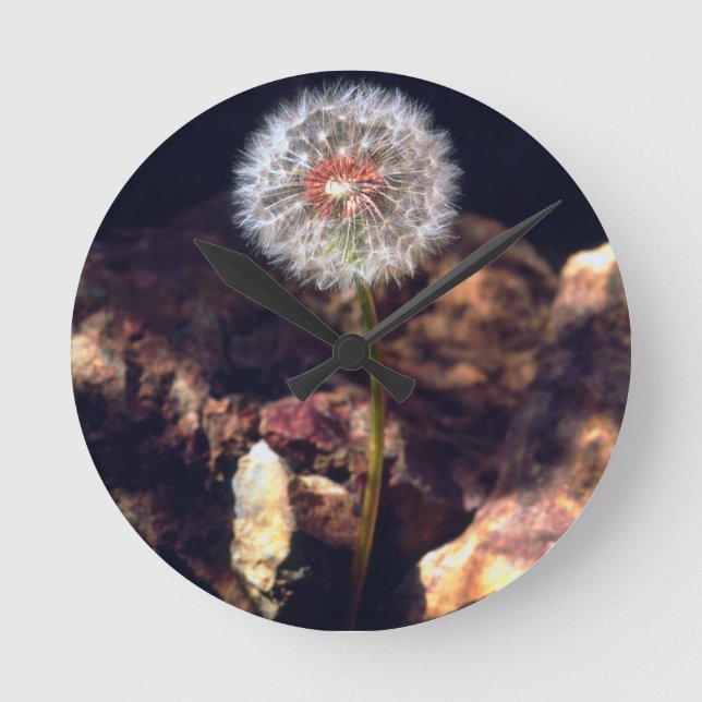 Dandelion Round Clock (Front)